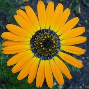 Meet your Posher, Mary beth